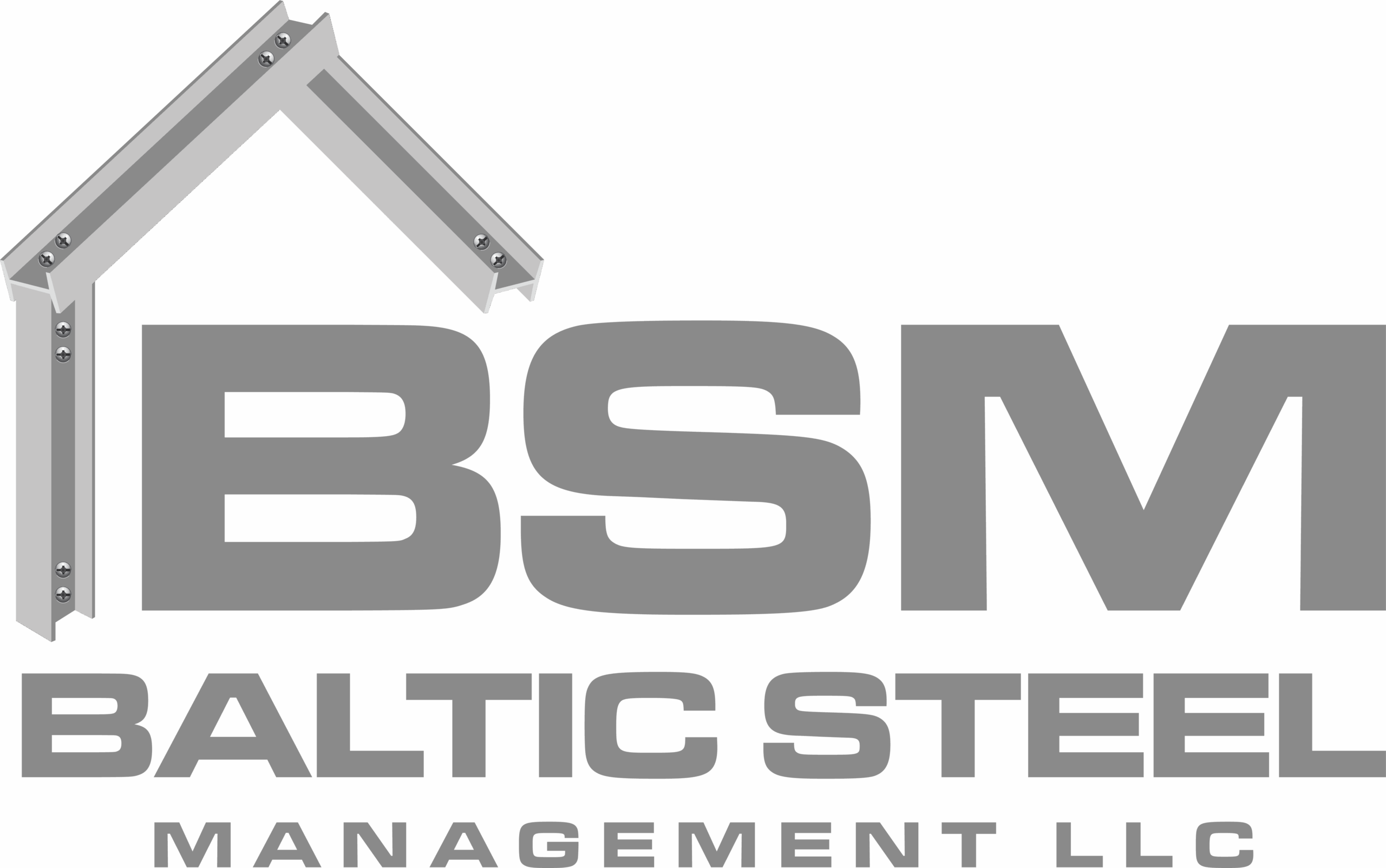 BALTIC STEEL MANAGEMENT LLC